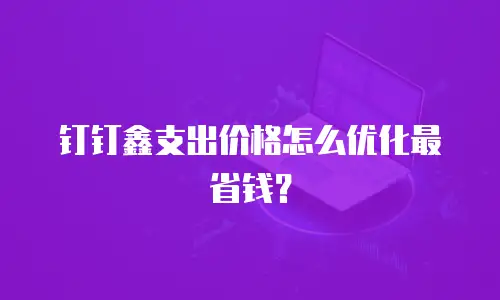 钉钉鑫支出价格怎么优化最省钱？