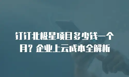 钉钉北极星项目多少钱一个月？企业上云成本全解析