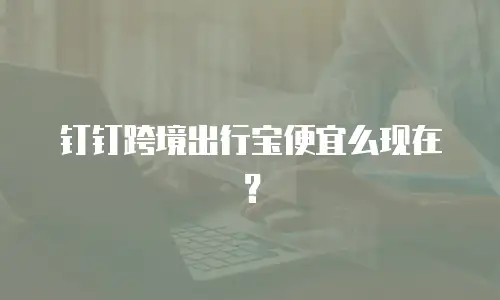 钉钉跨境出行宝便宜么现在？