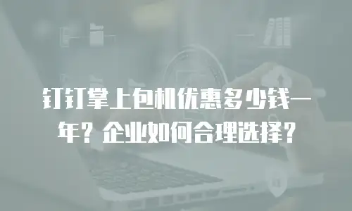 钉钉掌上包机优惠多少钱一年？企业如何合理选择？