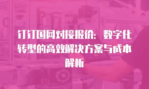 钉钉国网对接报价：数字化转型的高效解决方案与成本解析