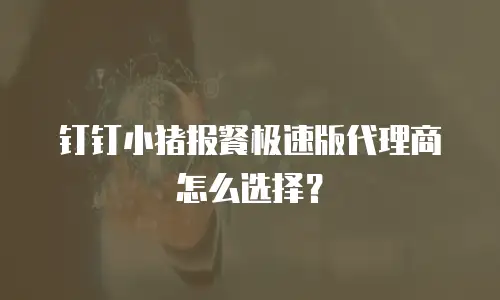 钉钉小猪报餐极速版代理商怎么选择？
