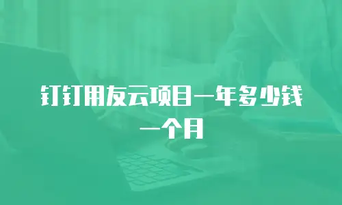 钉钉用友云项目一年多少钱一个月