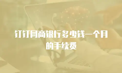 钉钉网商银行多少钱一个月的手续费