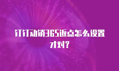 钉钉动销365返点怎么设置才对？