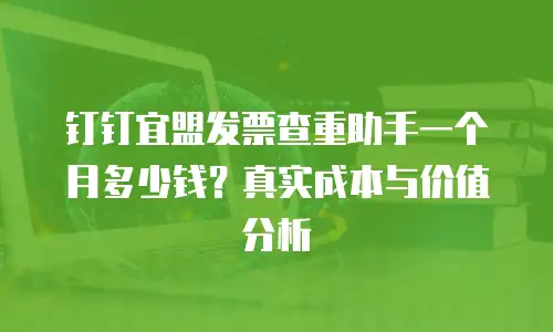 钉钉宜盟发票查重助手一个月多少钱？真实成本与价值分析