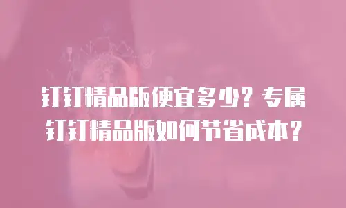 钉钉精品版便宜多少？专属钉钉精品版如何节省成本？