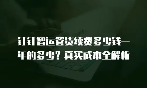 钉钉智运管货续费多少钱一年的多少？真实成本全解析