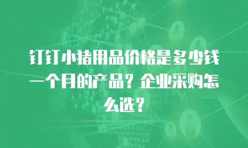 钉钉小猪用品价格是多少钱一个月的产品？企业采购怎么选？