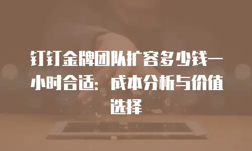 钉钉金牌团队扩容多少钱一小时合适：成本分析与价值选择