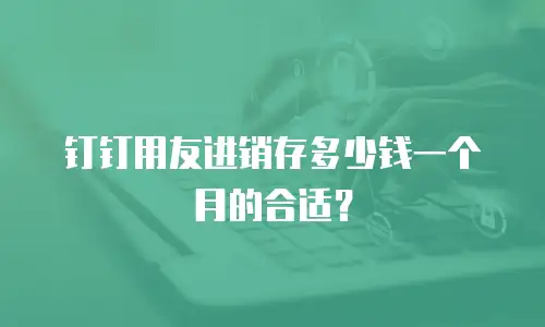 钉钉用友进销存多少钱一个月的合适？