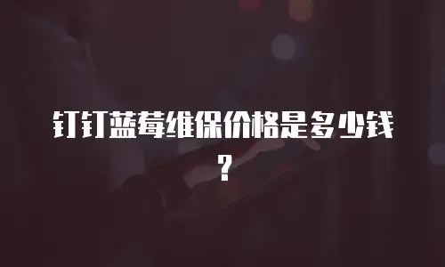 钉钉蓝莓维保价格是多少钱？
