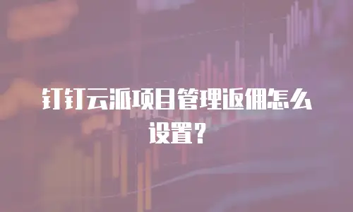 钉钉云派项目管理返佣怎么设置？