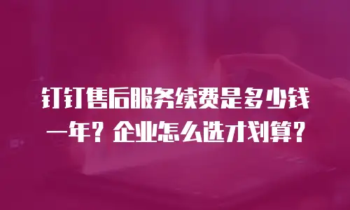 钉钉售后服务续费是多少钱一年？企业怎么选才划算？