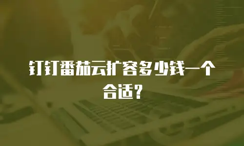 钉钉番茄云扩容多少钱一个合适？