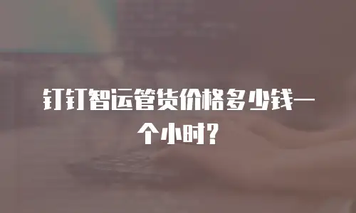 钉钉智运管货价格多少钱一个小时？