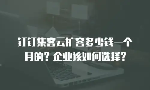 钉钉集客云扩容多少钱一个月的？企业该如何选择？