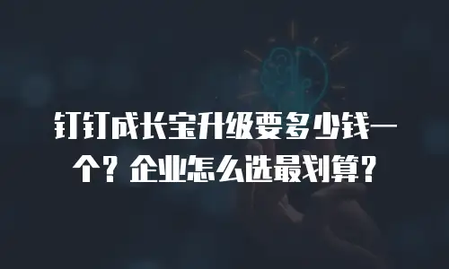 钉钉成长宝升级要多少钱一个？企业怎么选最划算？