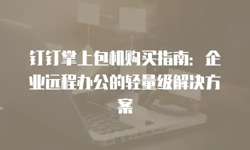 钉钉掌上包机购买指南：企业远程办公的轻量级解决方案