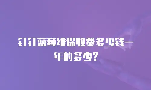 钉钉蓝莓维保收费多少钱一年的多少？