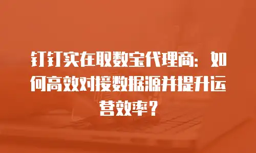 钉钉实在取数宝代理商：如何高效对接数据源并提升运营效率？