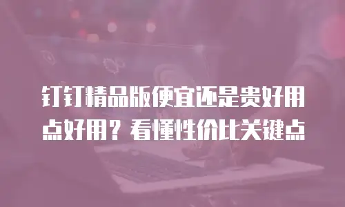 钉钉精品版便宜还是贵好用点好用？看懂性价比关键点