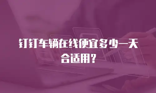 钉钉车辆在线便宜多少一天合适用？