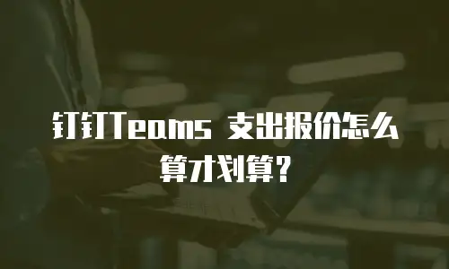 钉钉Teams 支出报价怎么算才划算？