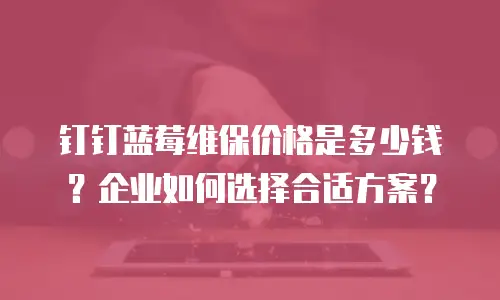 钉钉蓝莓维保价格是多少钱？企业如何选择合适方案？