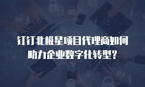 钉钉北极星项目代理商如何助力企业数字化转型？