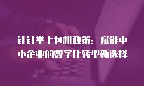 钉钉掌上包机政策：赋能中小企业的数字化转型新选择