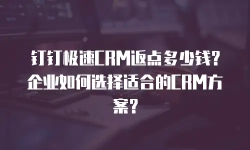 钉钉极速CRM返点多少钱？企业如何选择适合的CRM方案？