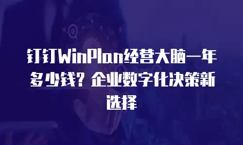 钉钉WinPlan经营大脑一年多少钱？企业数字化决策新选择