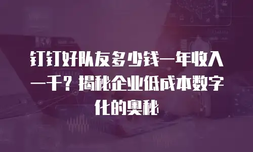 钉钉好队友多少钱一年收入一千？揭秘企业低成本数字化的奥秘