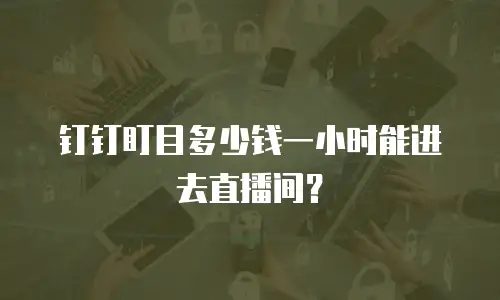 钉钉盯目多少钱一小时能进去直播间？