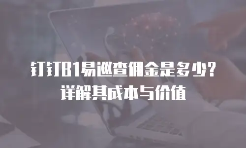 钉钉B1易巡查佣金是多少？详解其成本与价值