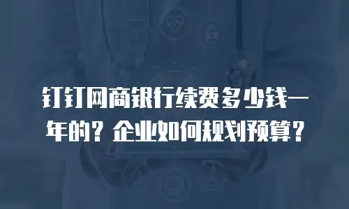 钉钉网商银行续费多少钱一年的？企业如何规划预算？