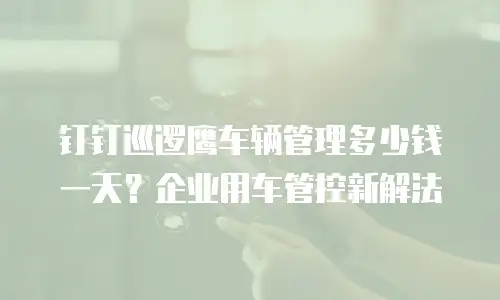 钉钉巡逻鹰车辆管理多少钱一天？企业用车管控新解法