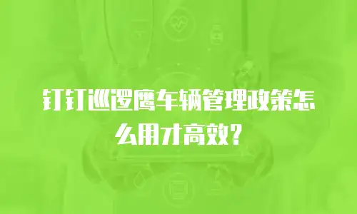 钉钉巡逻鹰车辆管理政策怎么用才高效？