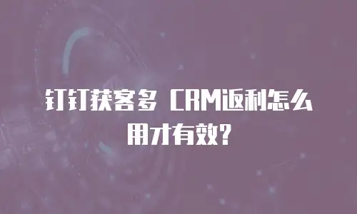 钉钉获客多 CRM返利怎么用才有效？