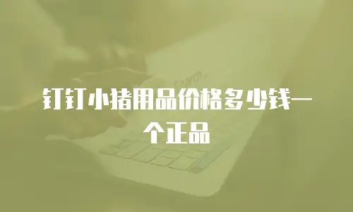 钉钉小猪用品价格多少钱一个正品