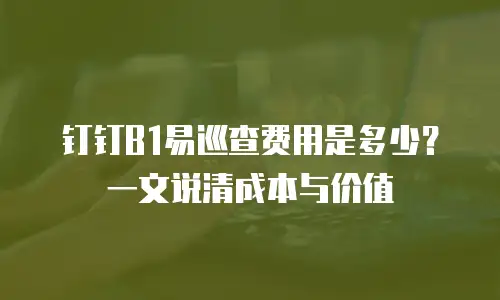 钉钉B1易巡查费用是多少？一文说清成本与价值