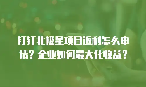 钉钉北极星项目返利怎么申请？企业如何最大化收益？