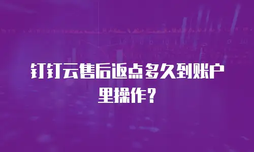 钉钉云售后返点多久到账户里操作？