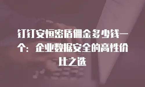 钉钉安恒密盾佣金多少钱一个：企业数据安全的高性价比之选