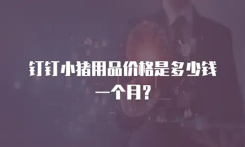 钉钉小猪用品价格是多少钱一个月？
