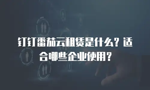 钉钉番茄云租赁是什么？适合哪些企业使用？