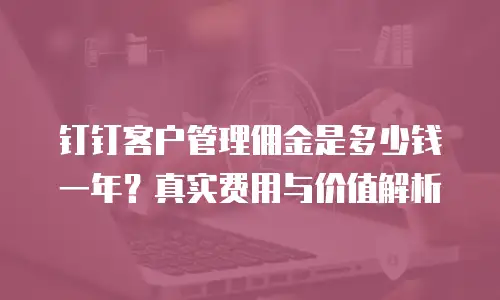 钉钉客户管理佣金是多少钱一年？真实费用与价值解析