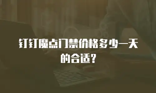 钉钉魔点门禁价格多少一天的合适？