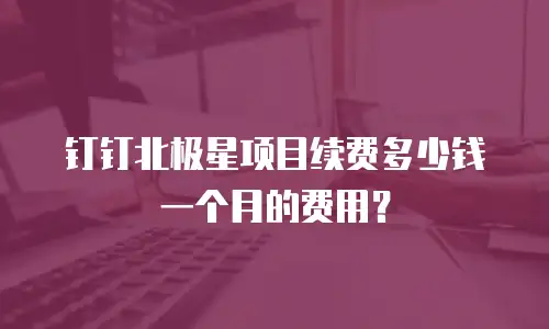 钉钉北极星项目续费多少钱一个月的费用？
